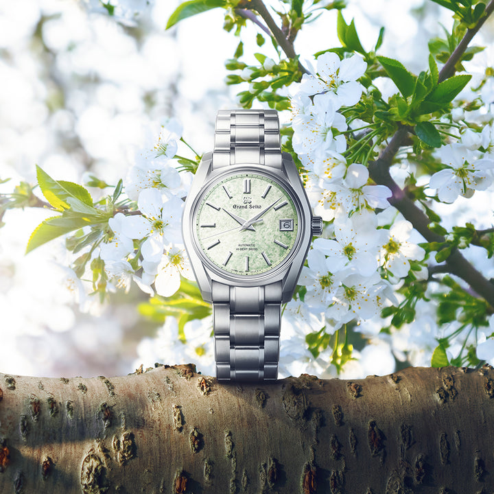 SBGH343_KV_16-9_720x.jpg?v=