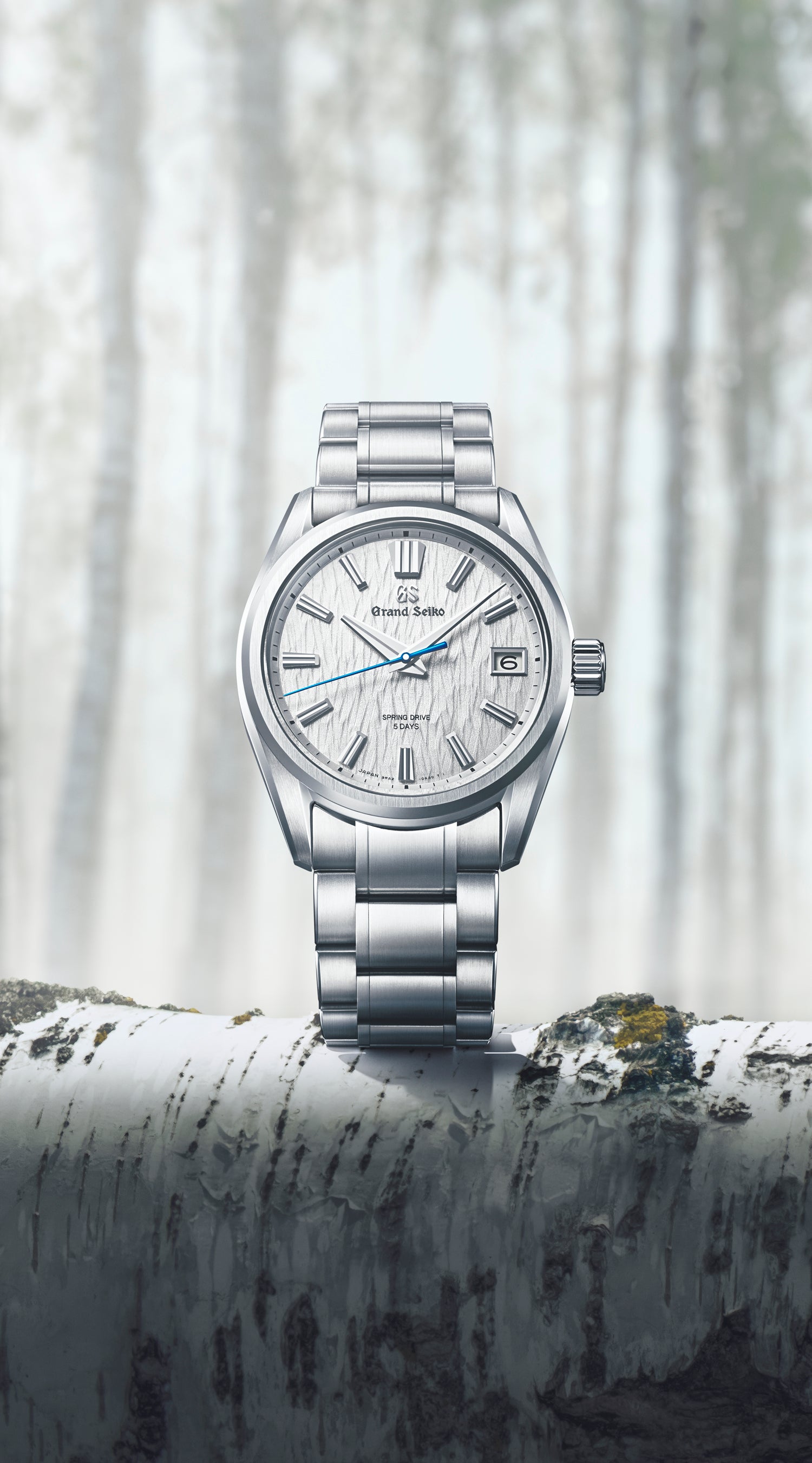 希少なグランドセイコー箱、規格検定合格証明書、取扱説明書セット セイコーグランドセイコー マスターショップ限定 メカニカル ダイヤ